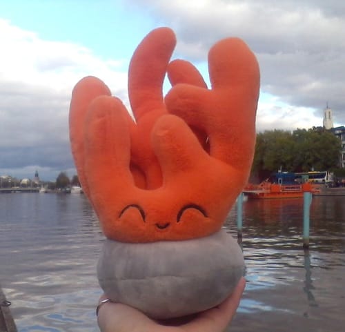 Customer photo review of Coral Adoption Plushie