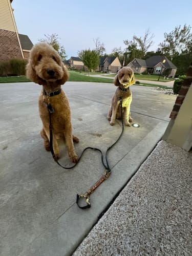 Customer photo review of Safety Strap