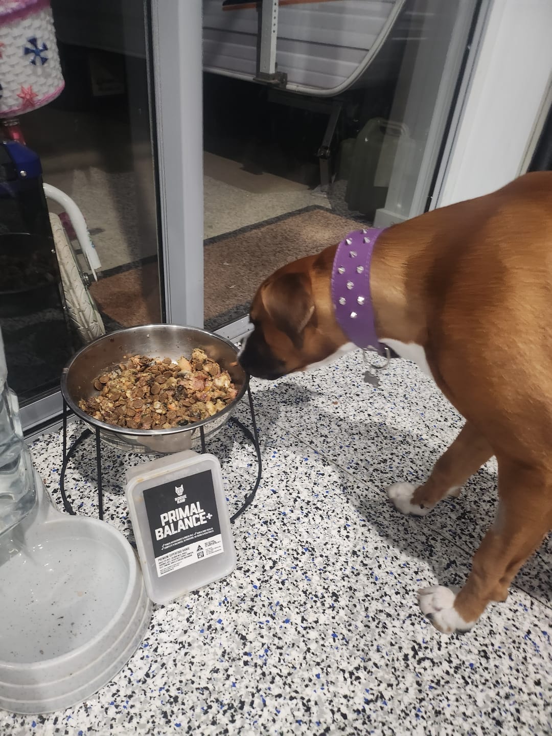 Customer photo review of PRIMAL BALANCE+ - Raw food mix for dogs