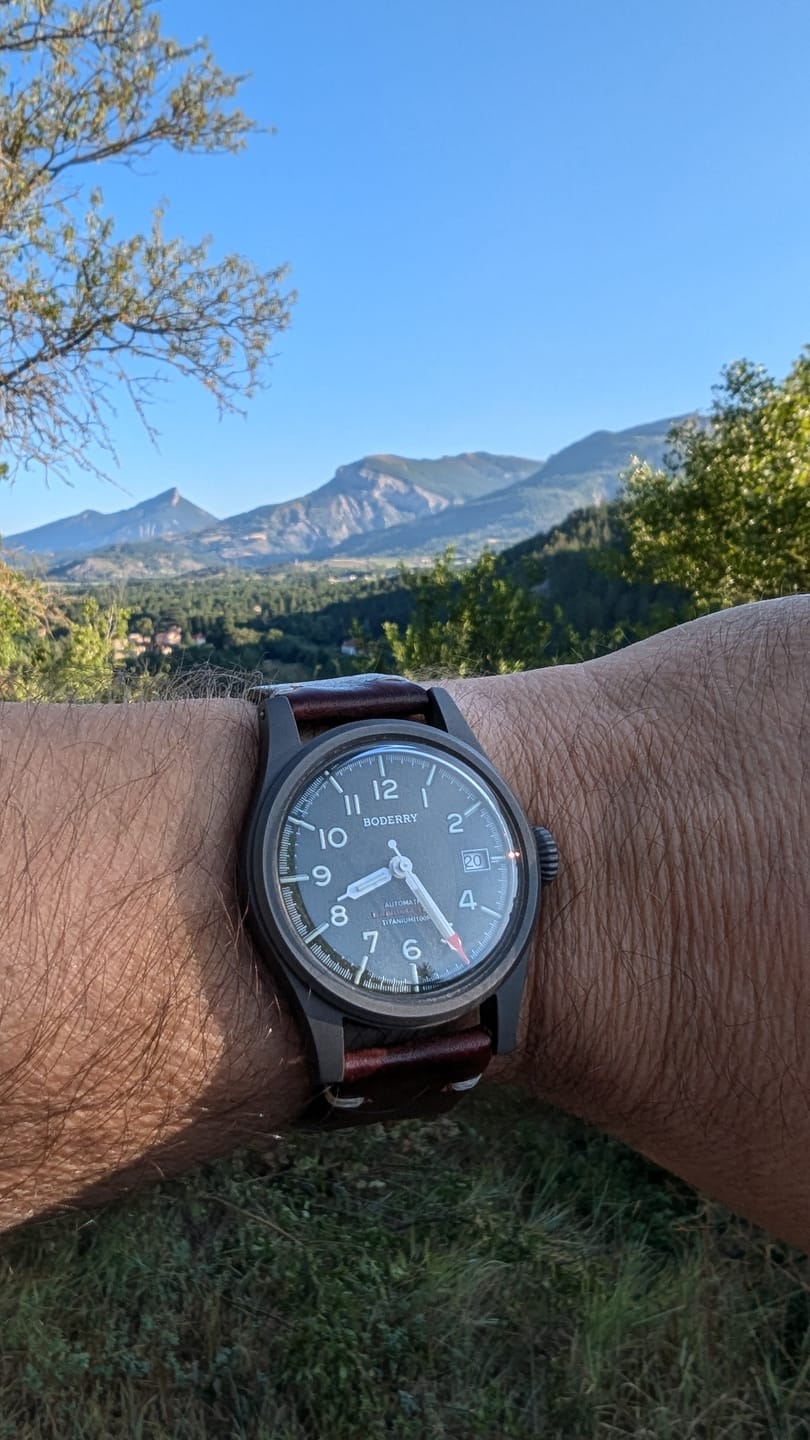 Customer photo review of LANDMASTER - 100M Waterproof Titanium Automatic Field Watch | Green