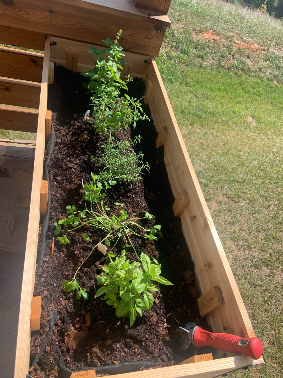 Customer photo review of Raised Garden Bed - 46cm x 122cm x 76cm