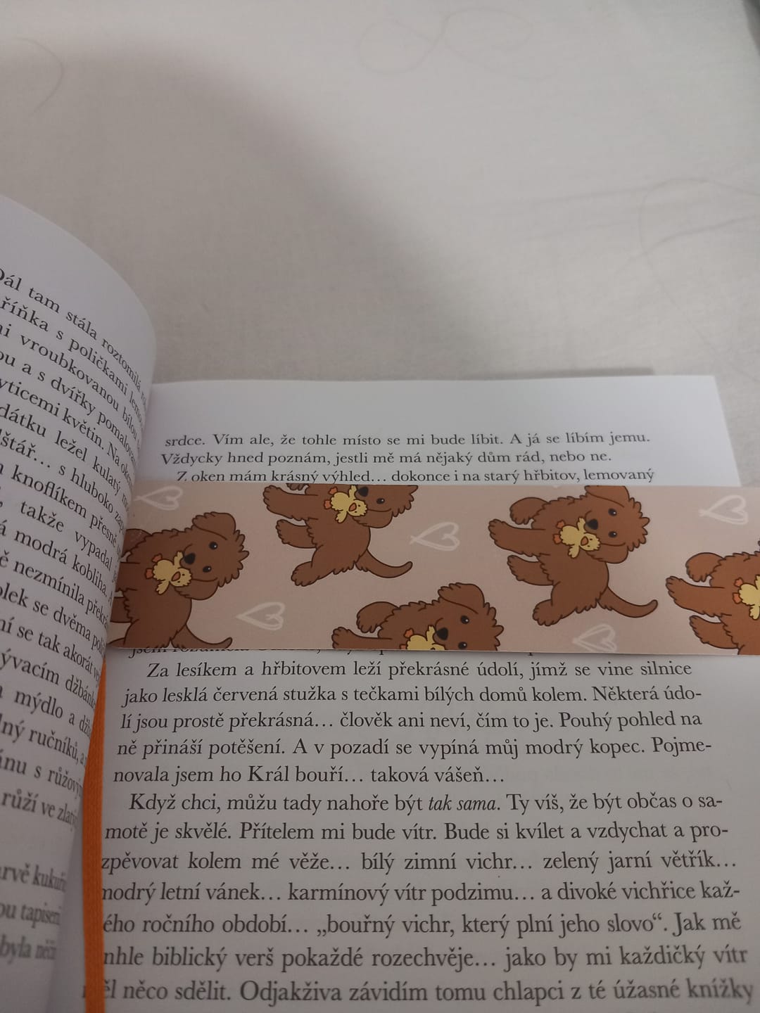 Customer photo review of Záložka - Dogs