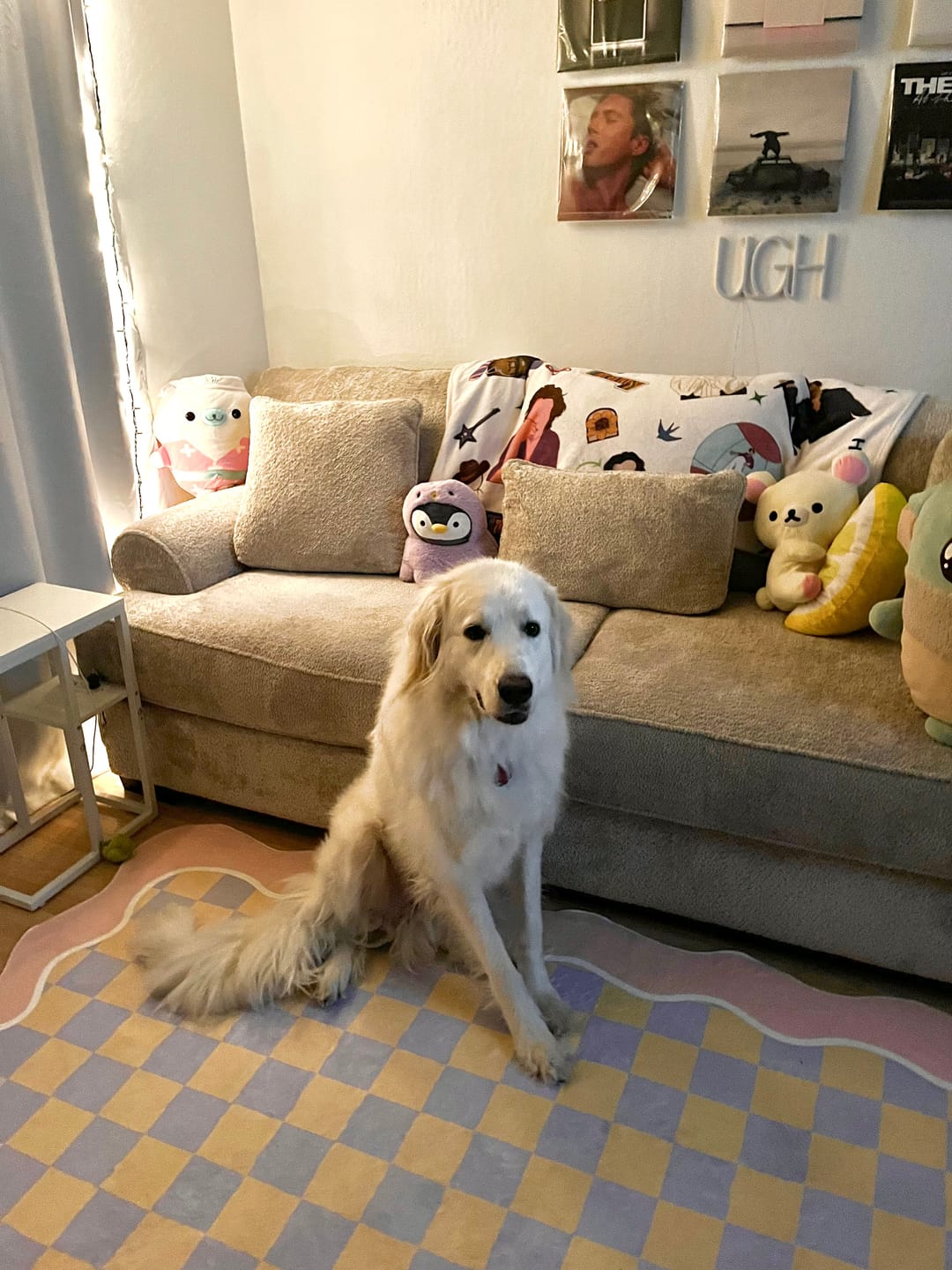Customer photo review of Mellow Pastel Rug