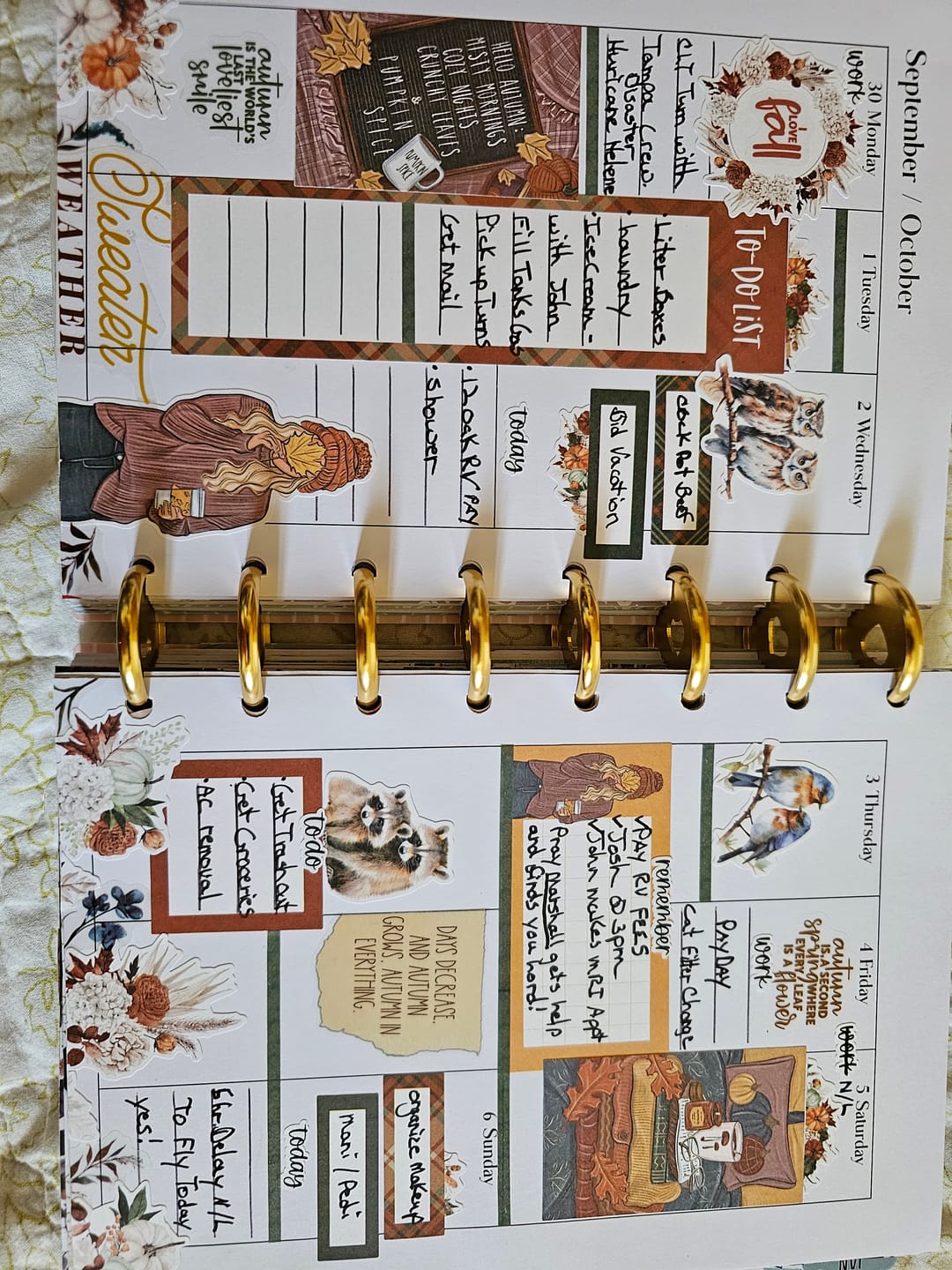 Customer photo review of Autumn Charm PET Tape