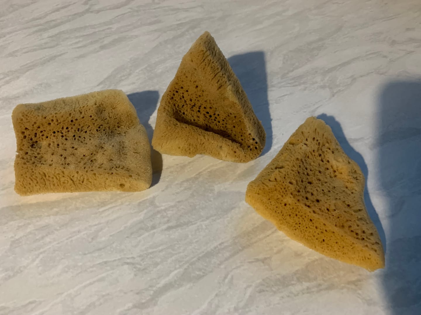 Customer photo review of Face Care Natural Sea Sponges