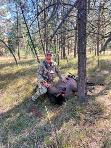 Customer photo review of Beast Broadheads (2-Pack + Practice Tip)