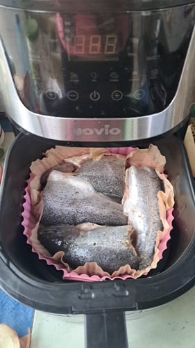 Customer photo review of Air Fryer Novio Grill & Fry