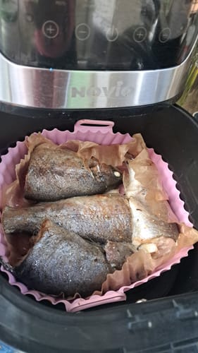 Customer photo review of Air Fryer Novio Grill & Fry
