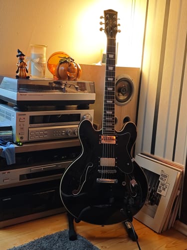 Customer photo review of Donner DJP-1000 Jazz-E-Gitarre