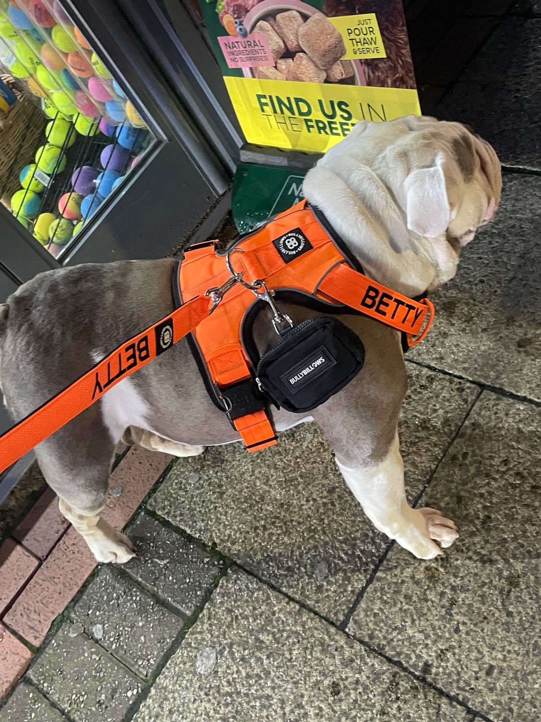 Customer photo review of Poop Bag Holder | Attachable - One Size