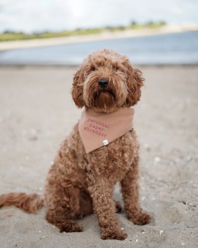 Customer photo review of Custom Saying Embroidered Bandana