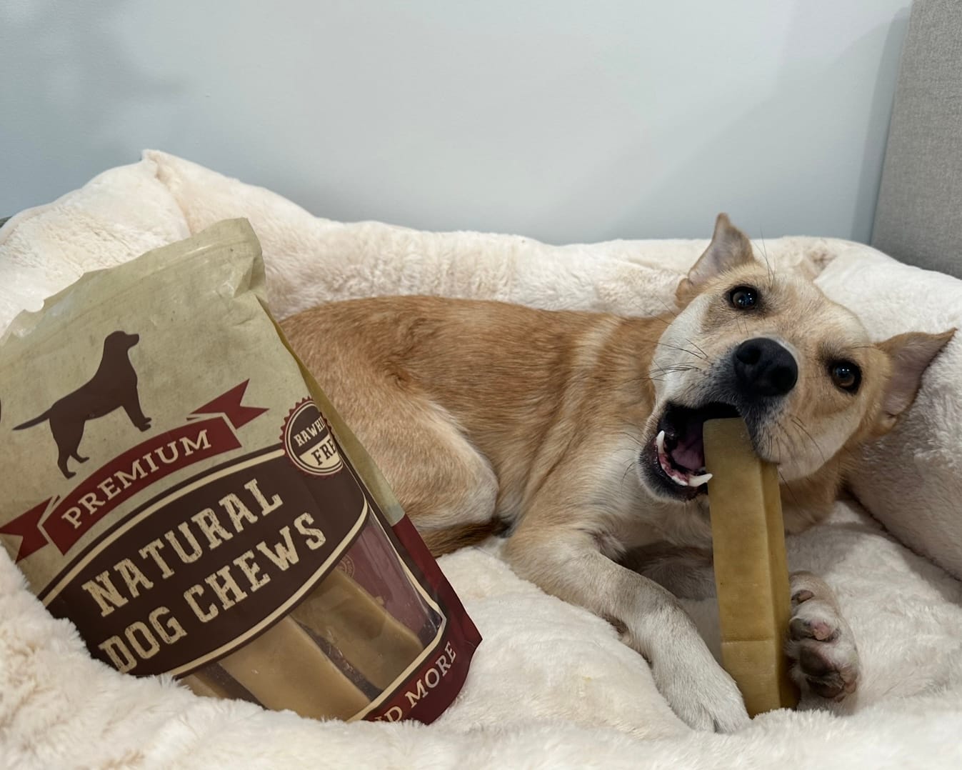 Customer photo review of Himalayan Yak Chew (EXTRA LARGE)