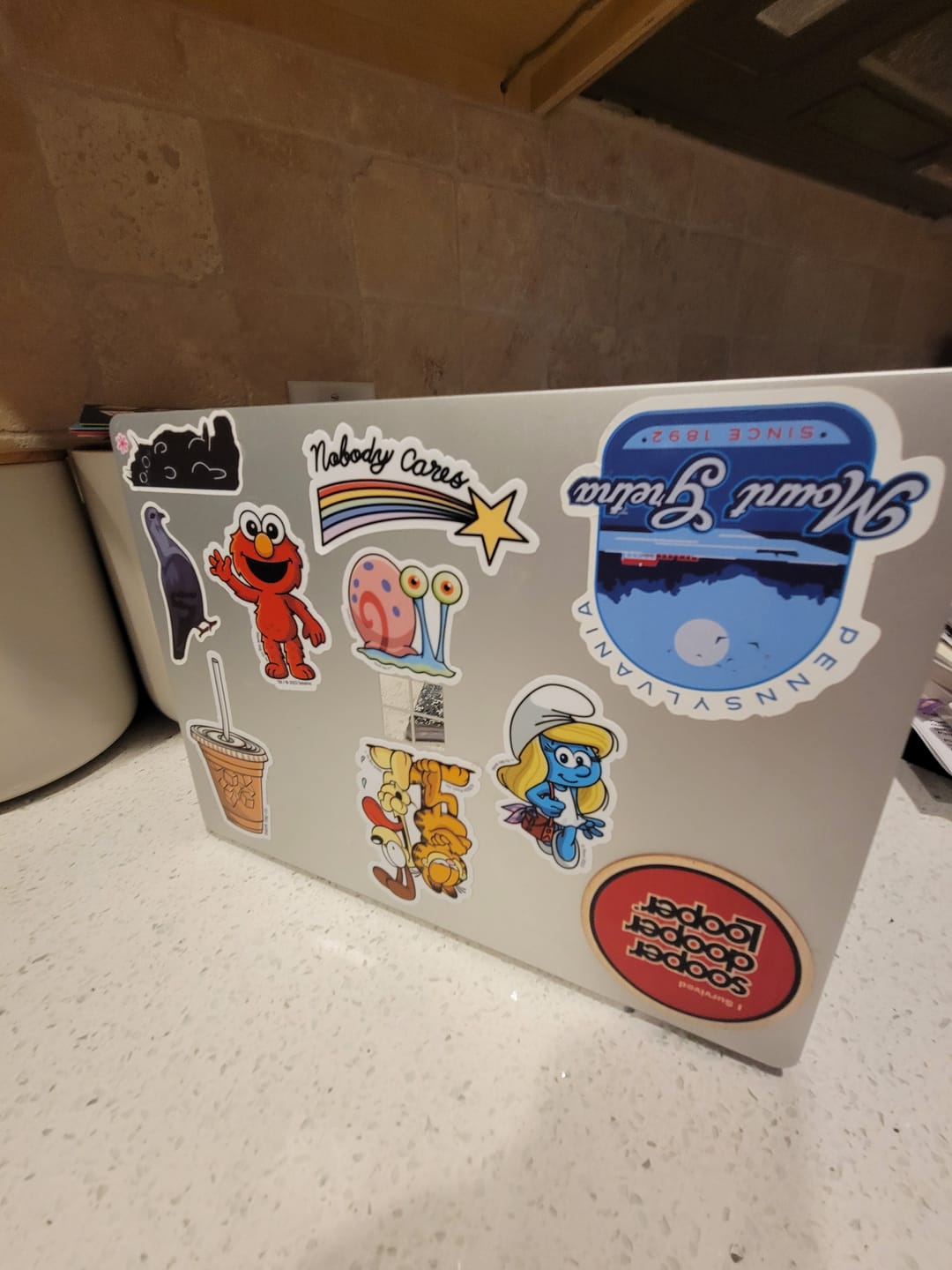 Customer photo review of Nobody Cares Shooting Star Sticker