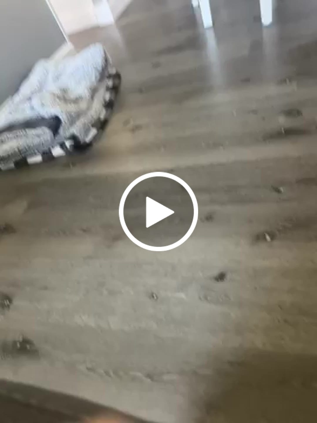 Customer video review of Chic Flower Stretch Apple Watch Strap