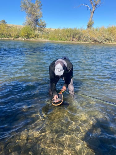 Customer photo review of Silvertip Fly Fishing Rod 9' 5WT 4-Piece