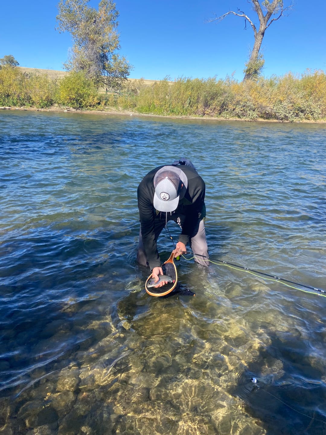 Customer photo review of Silvertip Fly Fishing Rod 9' 5WT 4-Piece