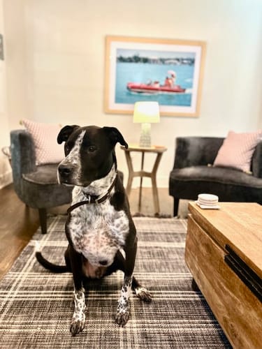 Customer photo review of Sea Drive