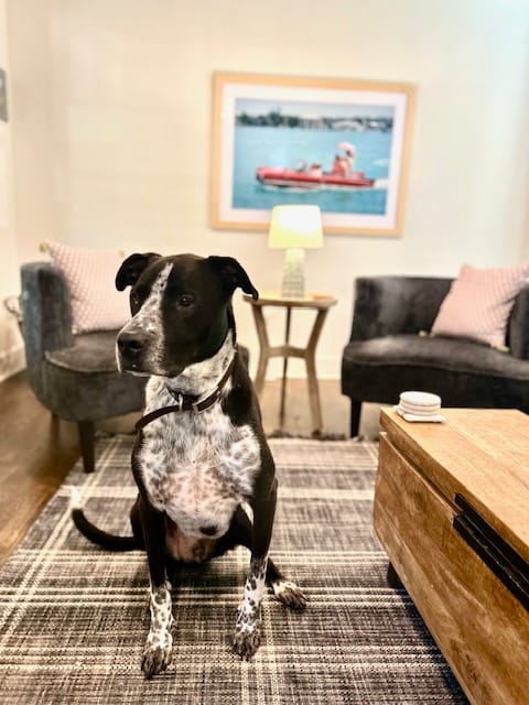Customer photo review of Sea Drive