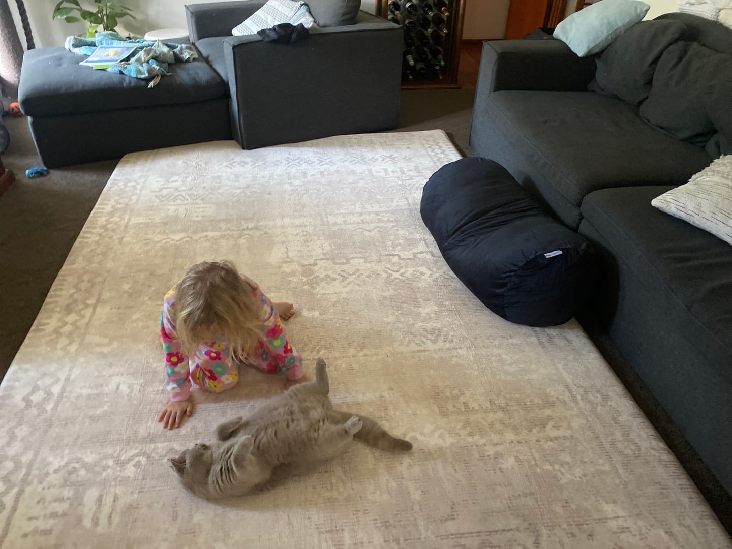 Customer photo review of The Big Soft Pillow
