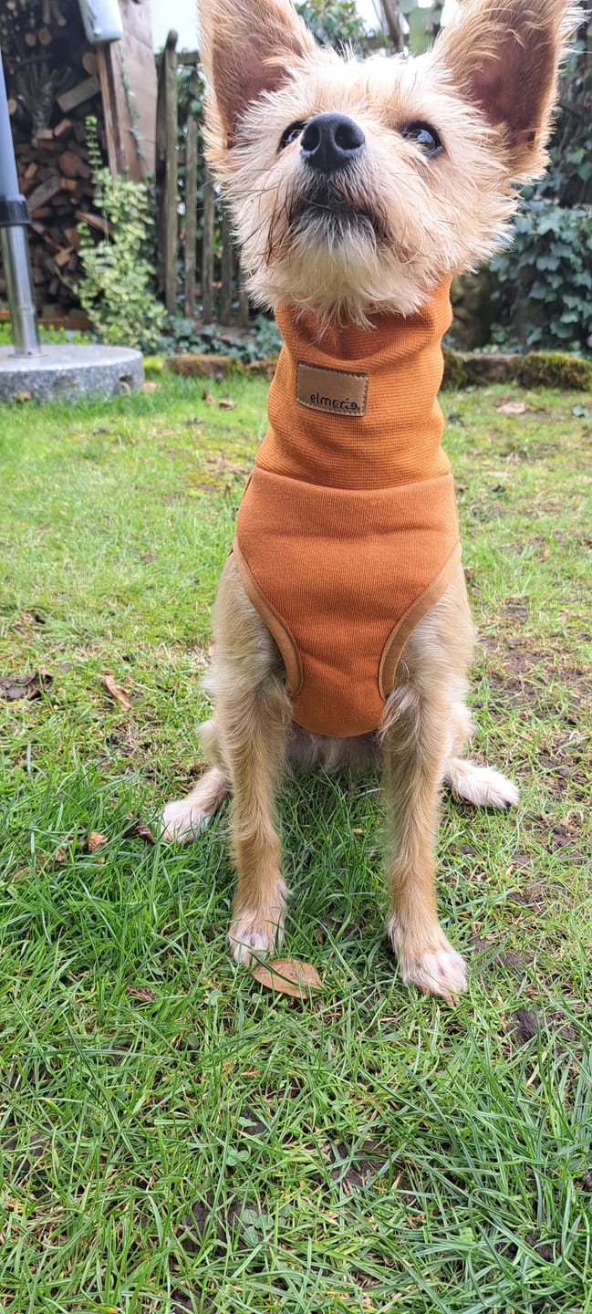 Customer photo review of Winnipeg Mini "Caramel"