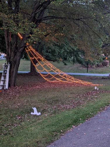 Customer photo review of Pebble Lights LED String by Mattos Designs - Versatile and Customizable LED Lighting for Indoors & Outdoors