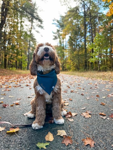 Customer photo review of Custom Name Embroidered Bandana