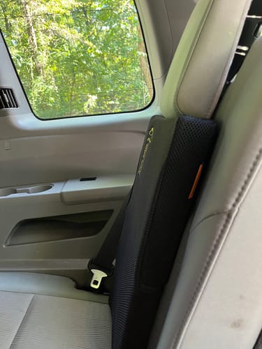 Customer photo review of Insert Pad for Giraffe Cushion