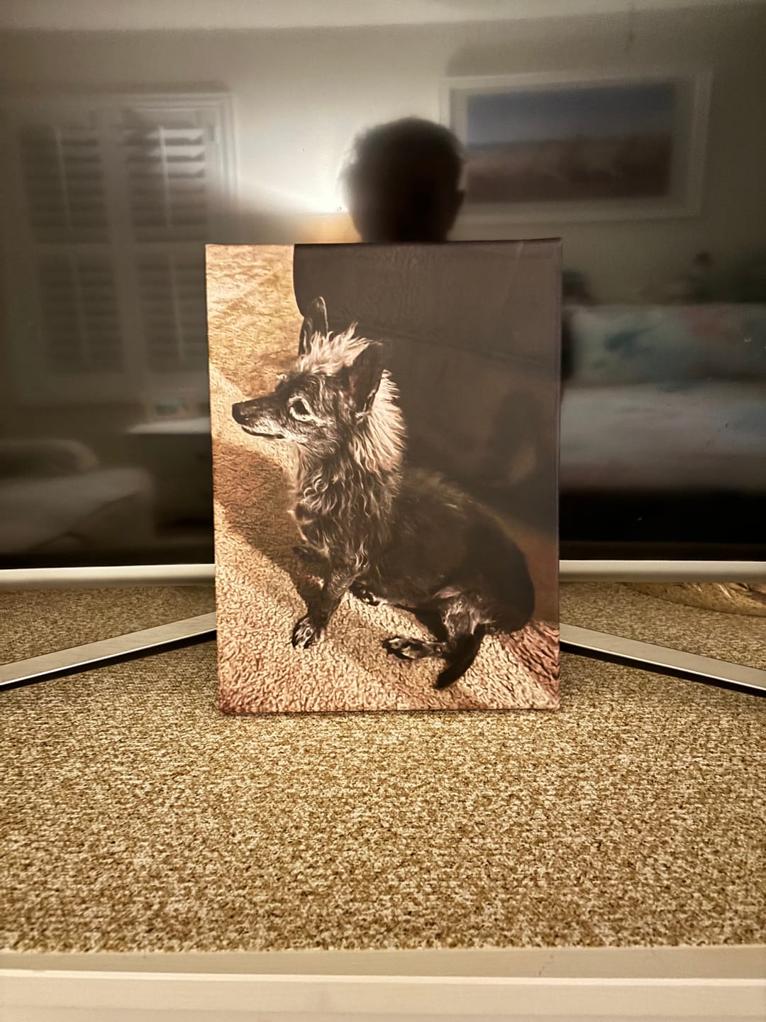 Customer photo review of Custom Canvas