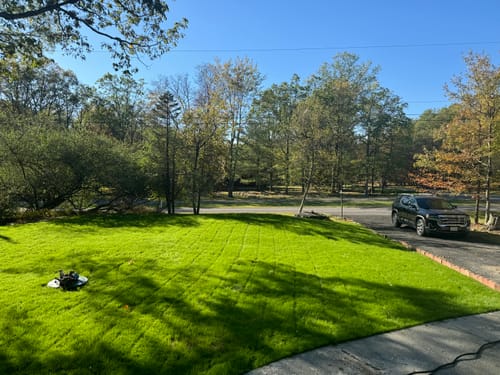 Customer photo review of Protene Performance Starter Fertilizer