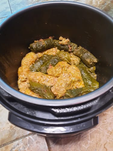 Customer photo review of Multicooker Novio EasyCook