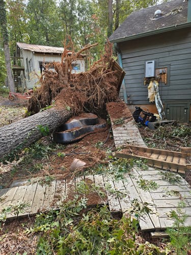 Customer photo review of Ryder Indestructible Shoes