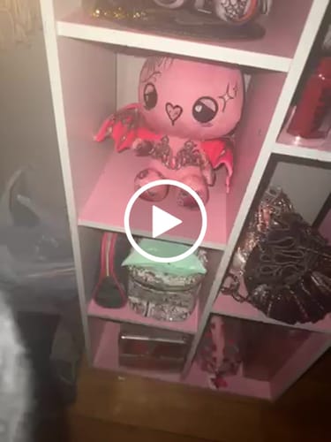 Customer video review of Rosie the Bat Plushie