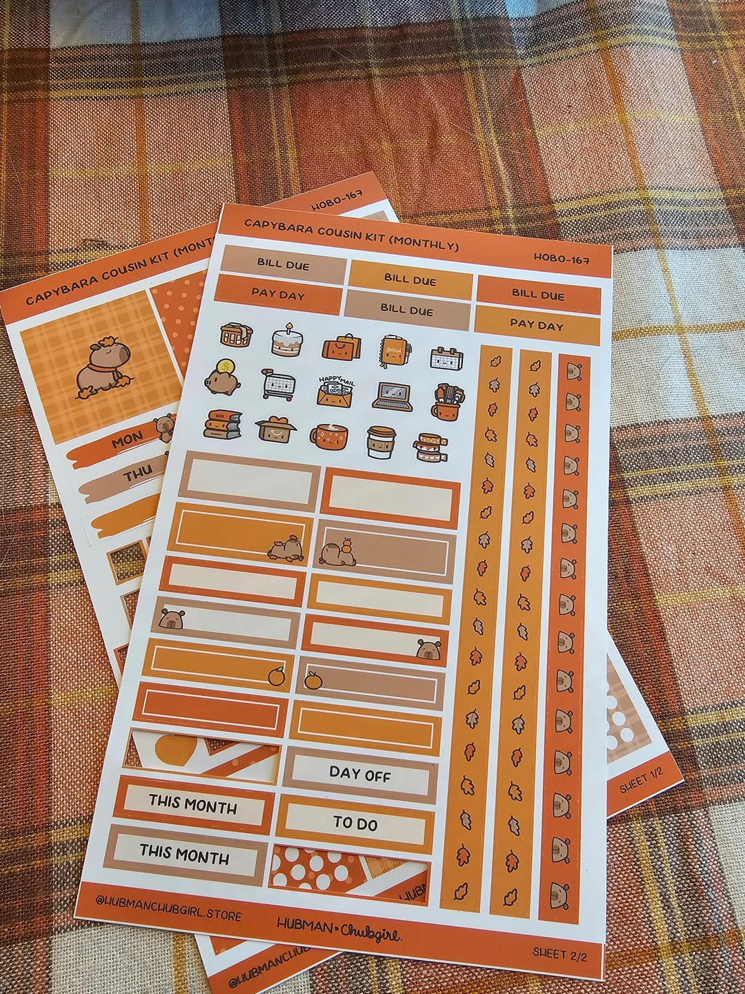 Customer photo review of Autumn Capybaras Theme Hobonichi Cousin Monthly Kit (Set of 2)