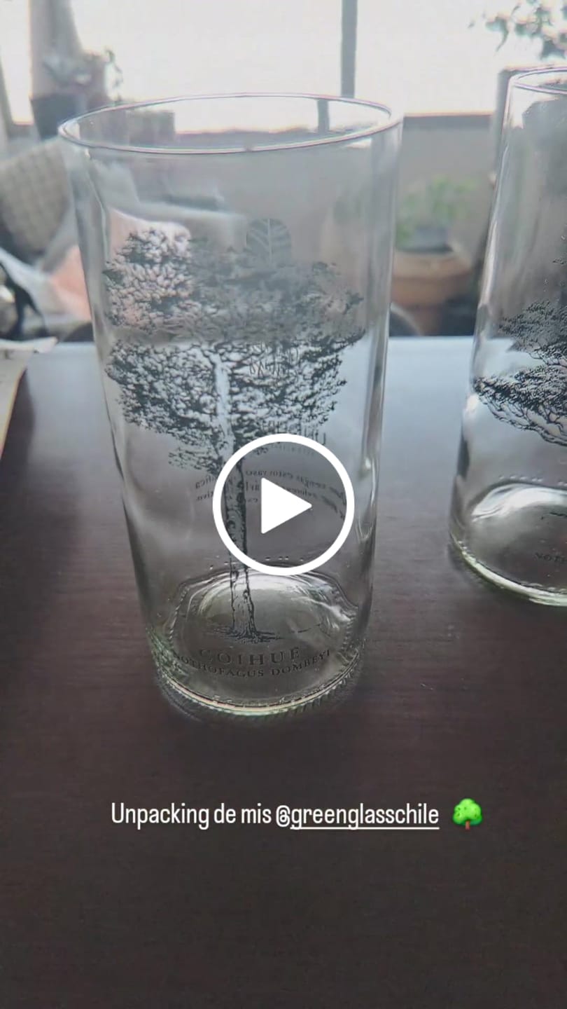 Customer video review of Juego de 6 Vasos Árboles de Chile