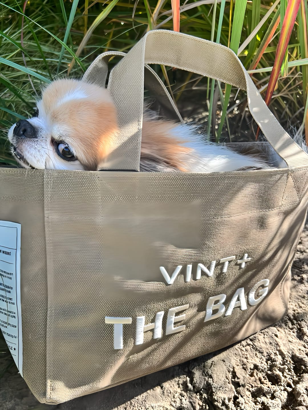 Customer photo review of CANVAS BAG - SMALL - BEIGE