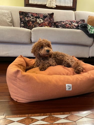 Customer photo review of Divanetto Mattias Caramello (Soft Touch)