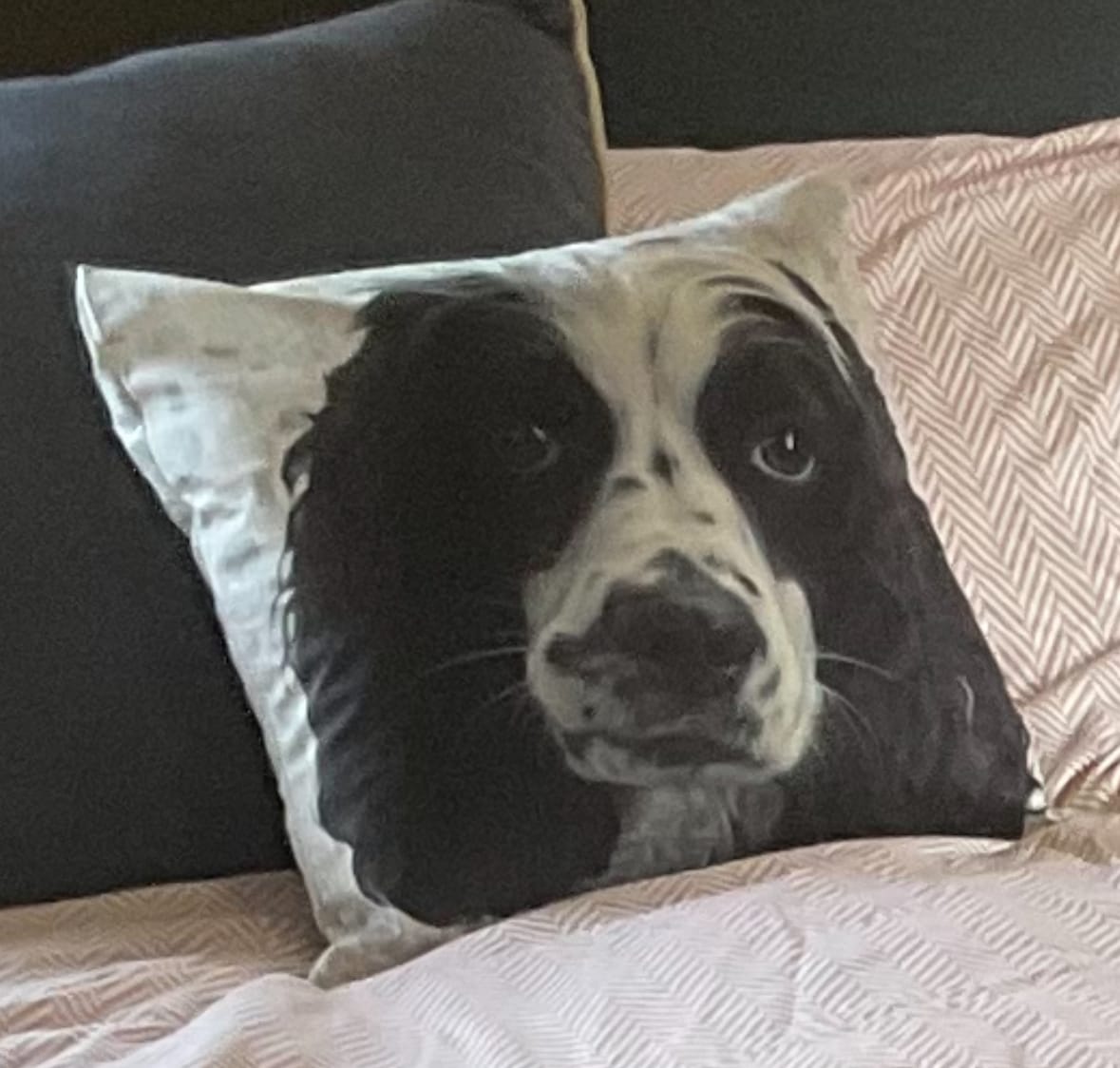 Customer photo review of Custom Pet Portaits Pillow From Photo Personalized Black And White Throw Pillow
