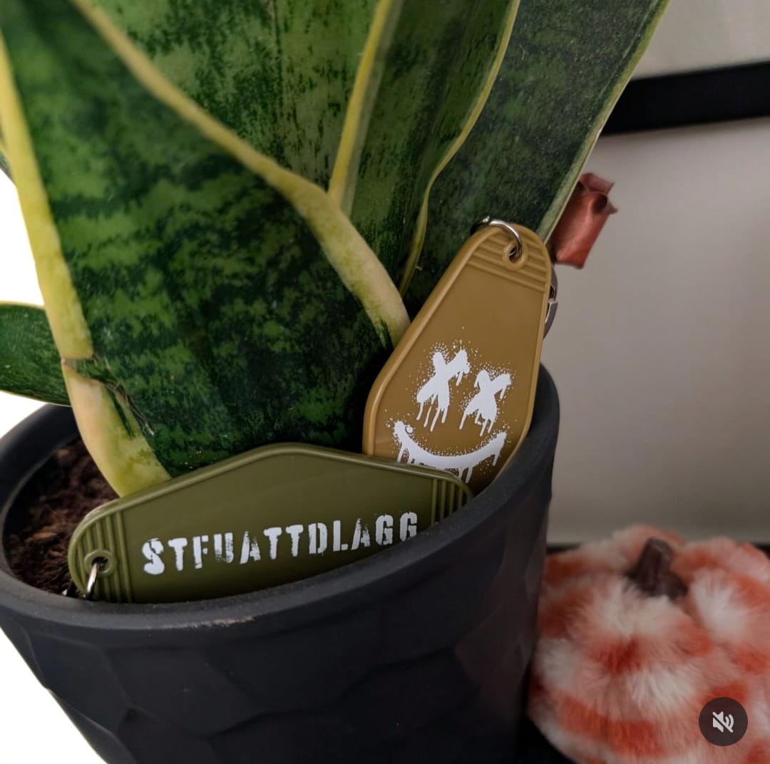 Customer photo review of stfuattdlagg keychain set