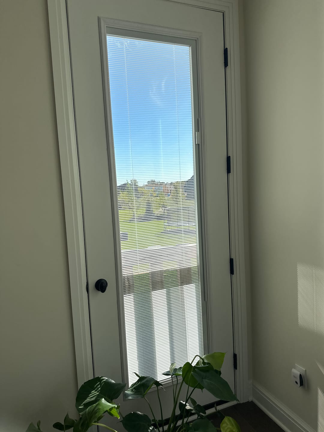 Customer photo review of Raise & Lower Blinds Glass and Frame Kit (Tall Full Lite)