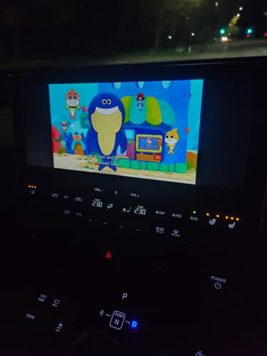 Customer photo review of Digi Dash 3.0