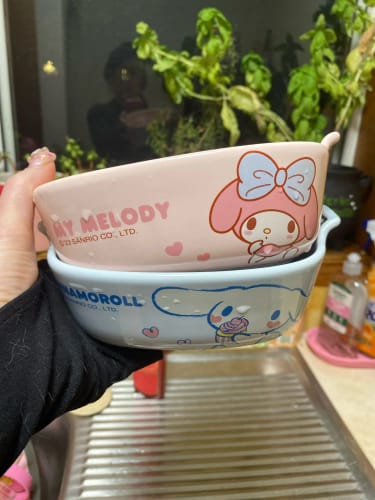 Customer photo review of Sanrio Baking Bowl