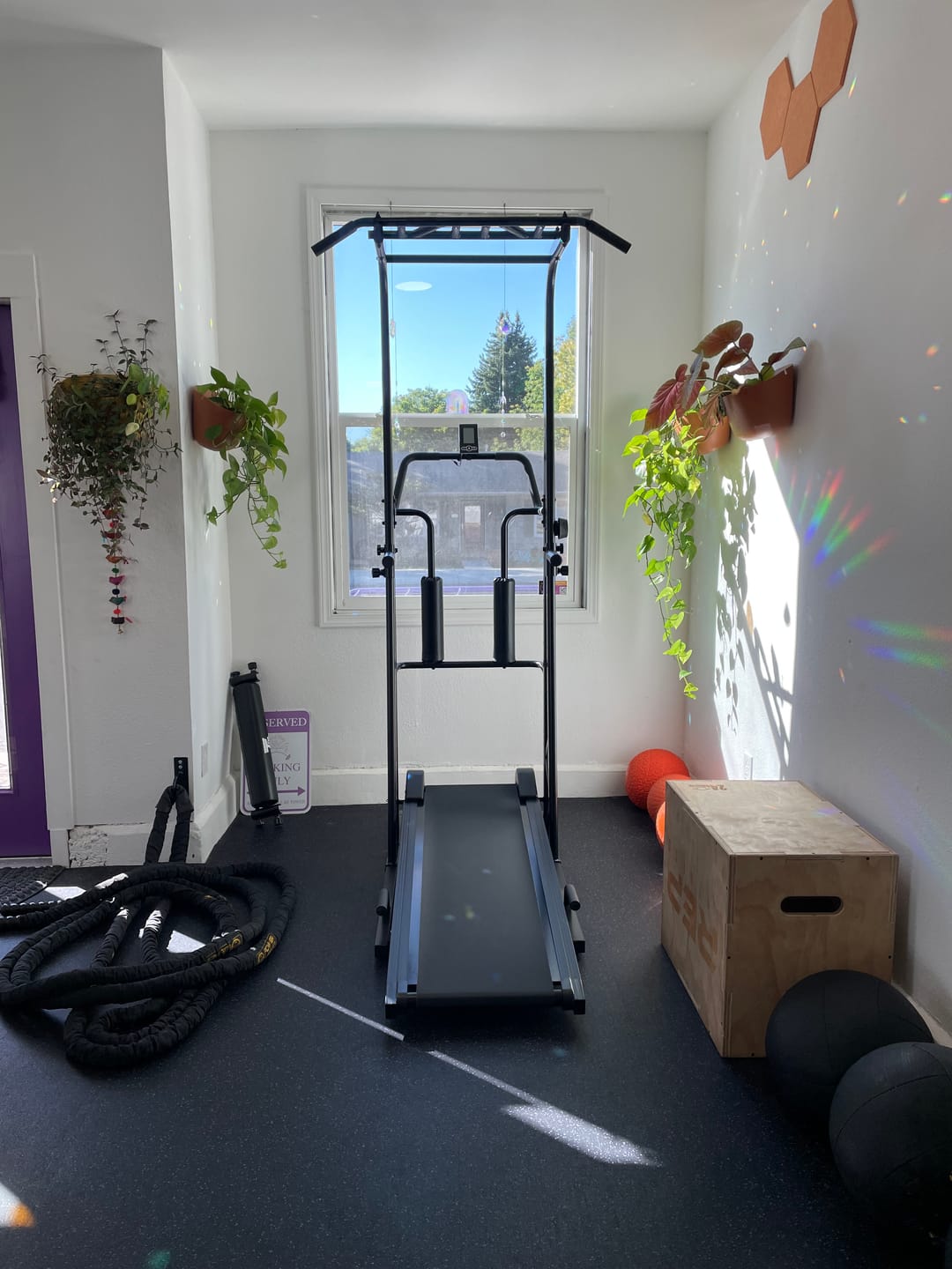 Customer photo review of THE SLEDTRED™️