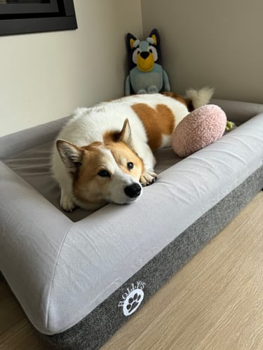 Customer photo review of Orthopaedic Memory Foam Bed