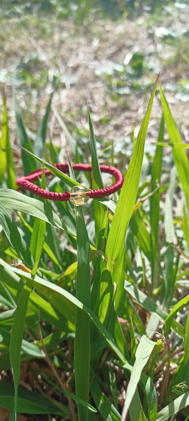 Customer photo review of 2 Bracelets Mani Porte Bonheur