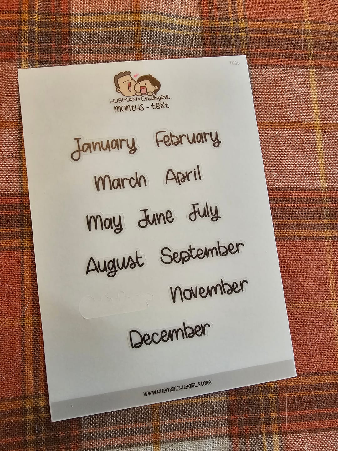 Customer photo review of Months Text  Planner Stickers - Handwritten Simple