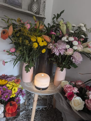 Customer photo review of Ceramic Electric Diffuser Bundle