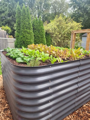 Customer photo review of 32" Tall Modular 9 in 1