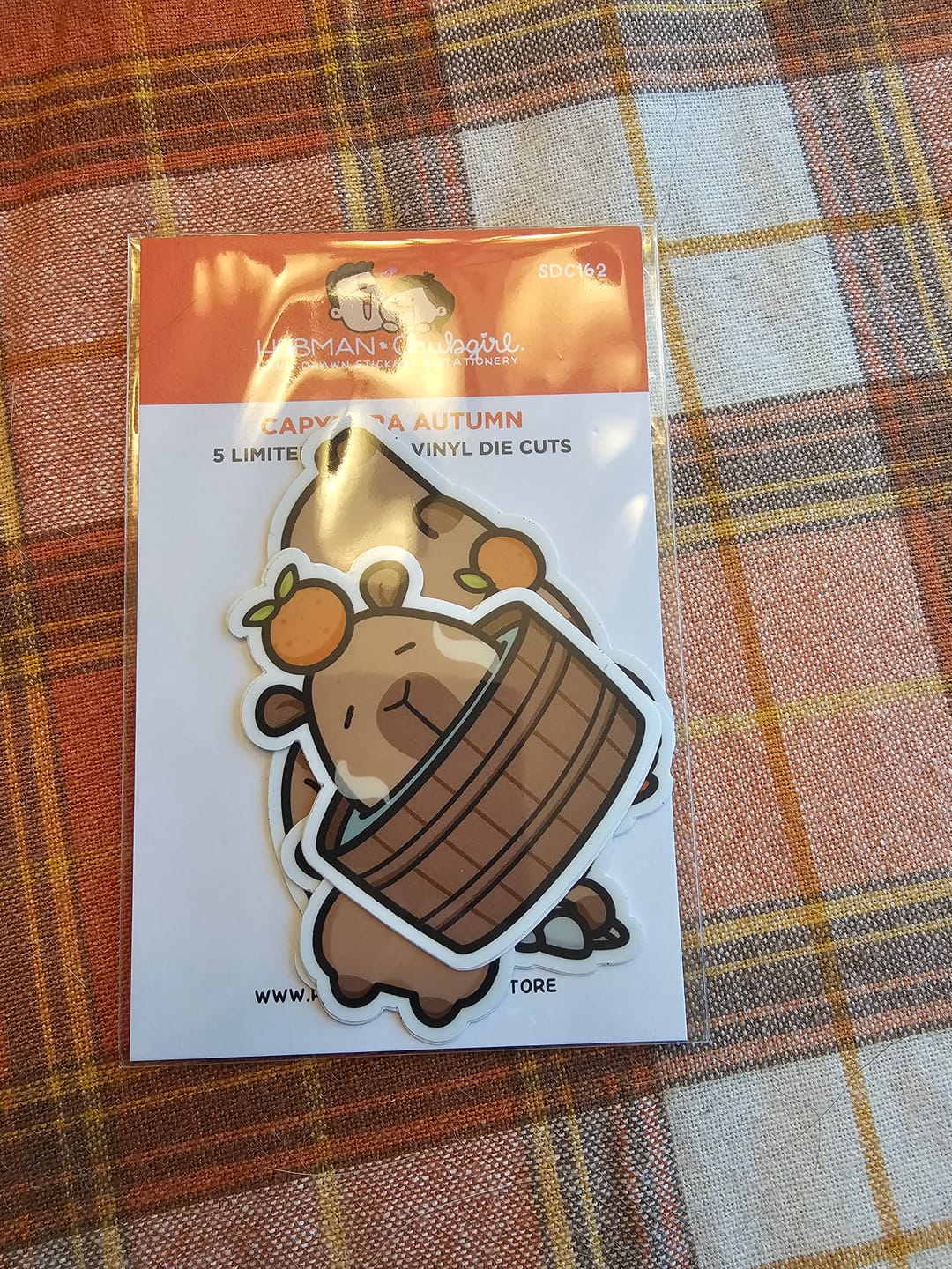 Customer photo review of Autumn Capybaras Die cut stickers