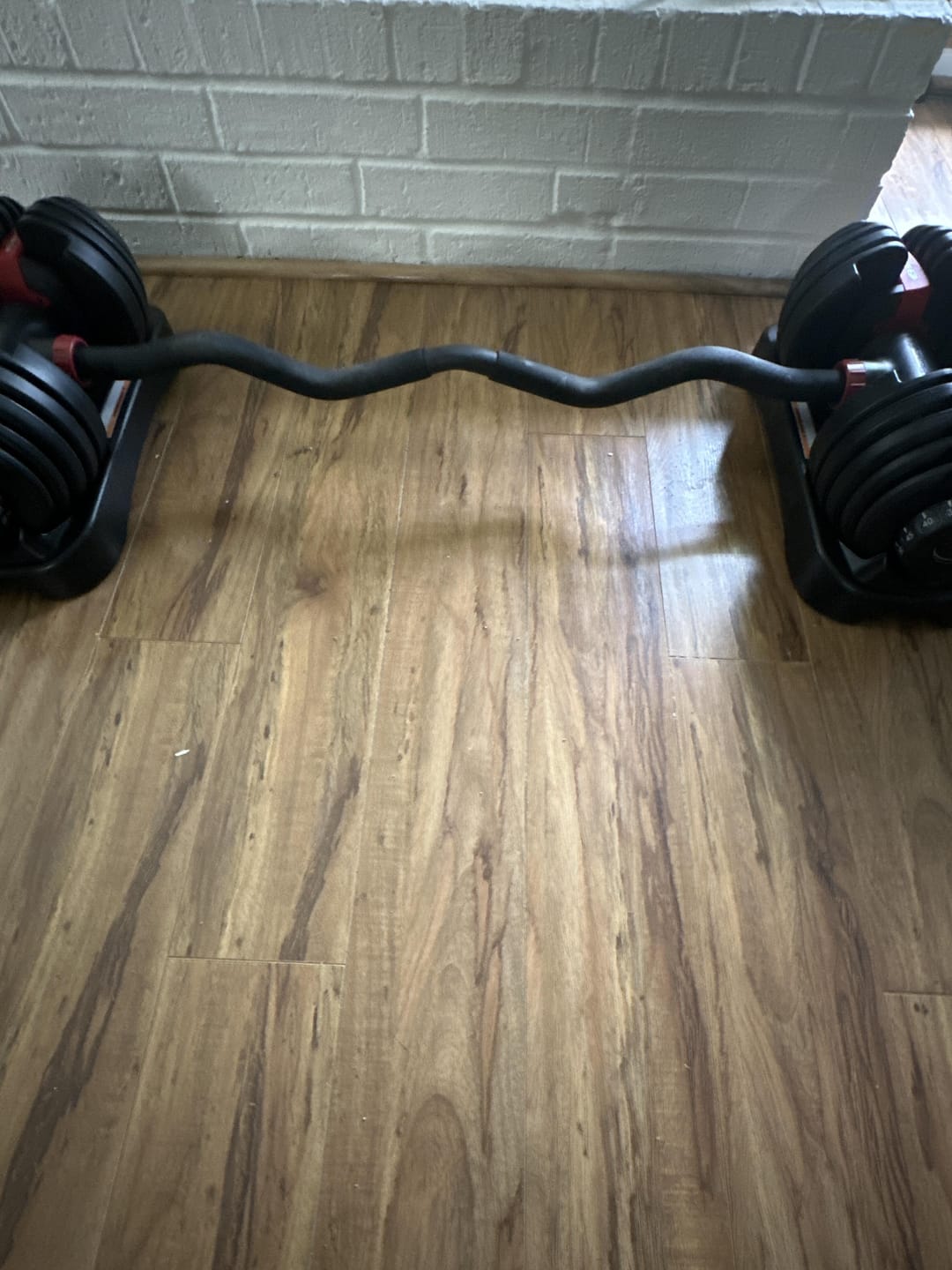 Customer photo review of Hyperbell EZ Curl Bar