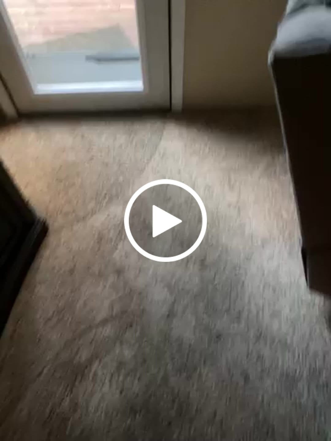 Customer video review of ODL Clear Door Glass - 24" x 66" Frame Kit